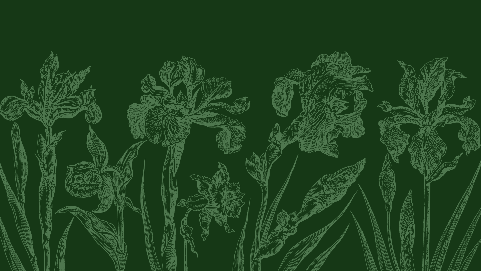 Transform Your Laptop Background