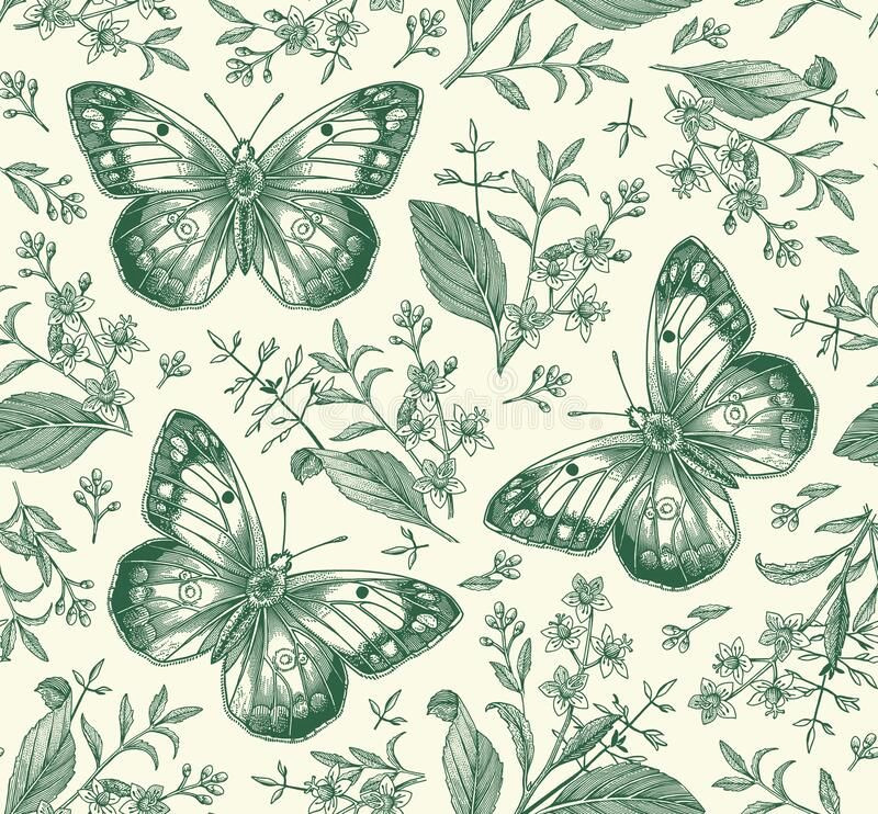 Wild Goat Moments in Action