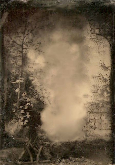 Green Scene Backdrops