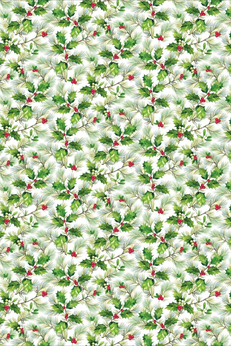 Christmas Miracle Arrives