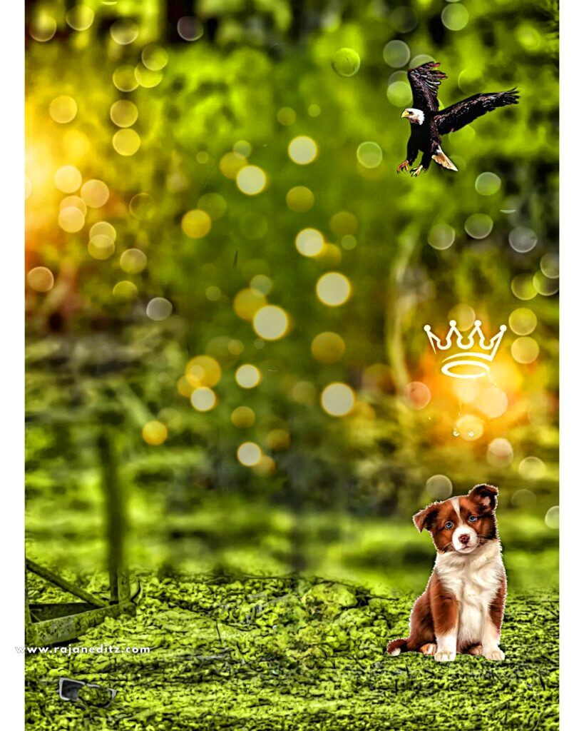 50+ High-Definition Backgrounds for Epic Photoshop Edits