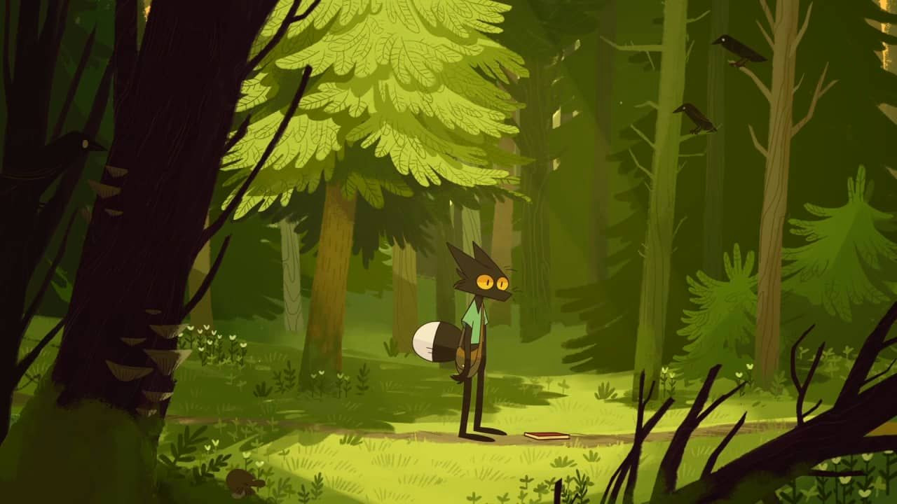 Mysterious Crow Sanctuaries Revealed