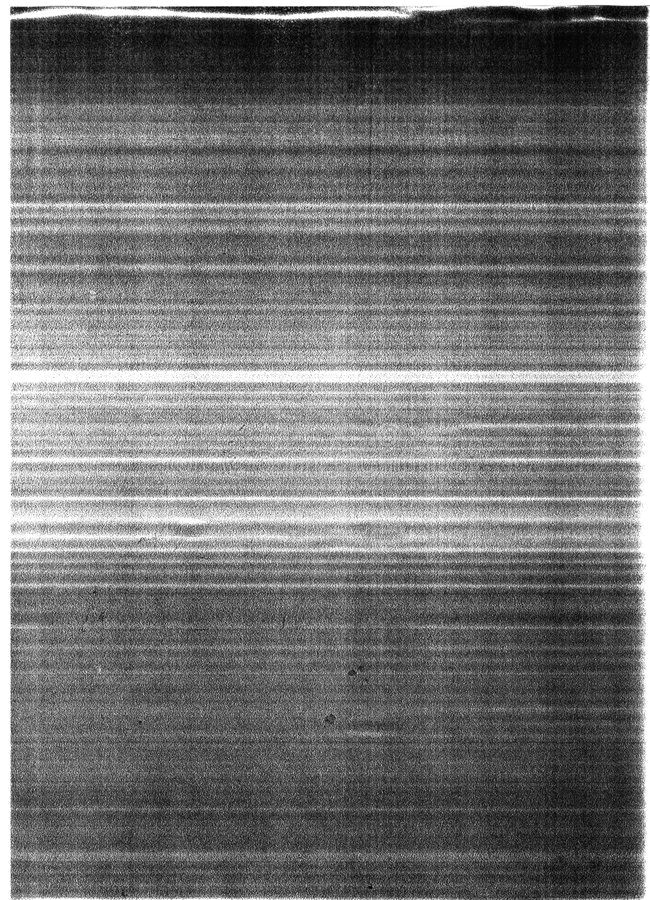 Textured Perfection: 705106 Stock Photo