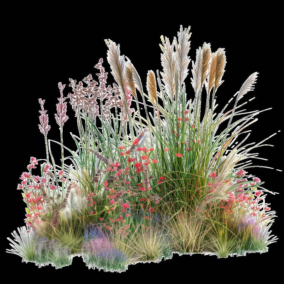 Free Summer Prairie Grass Wallpapers | Download Now