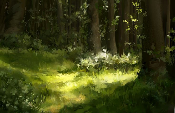 Nature’s Oasis: 10 Ways to Bring the Green Forest to Your Backyard