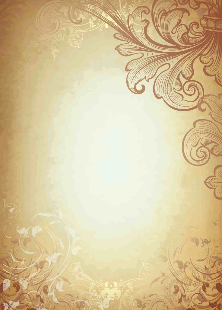 Stunning Photos of Mauren Zumbado Wallpapers