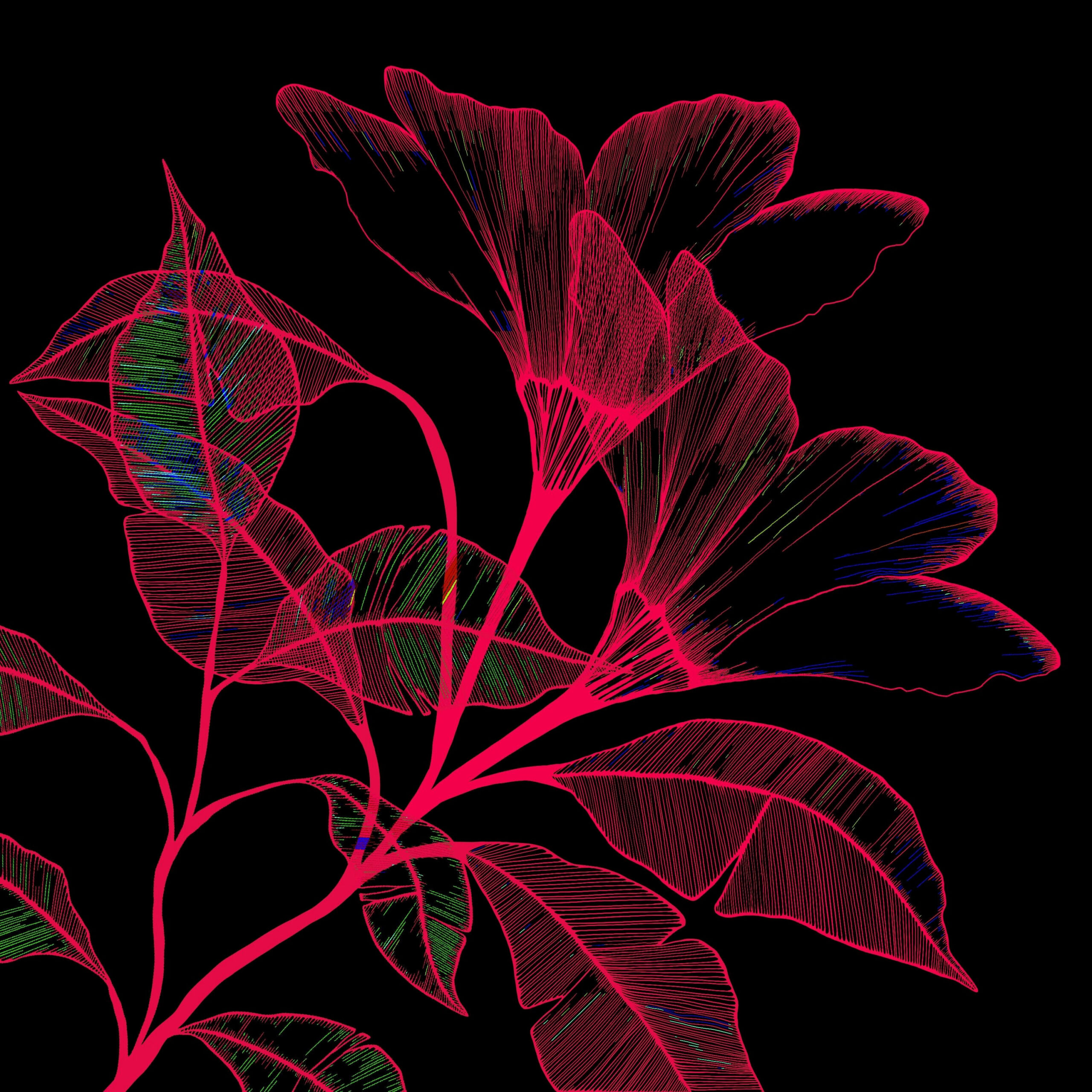 Incredible Black and White Botanical Illustrations