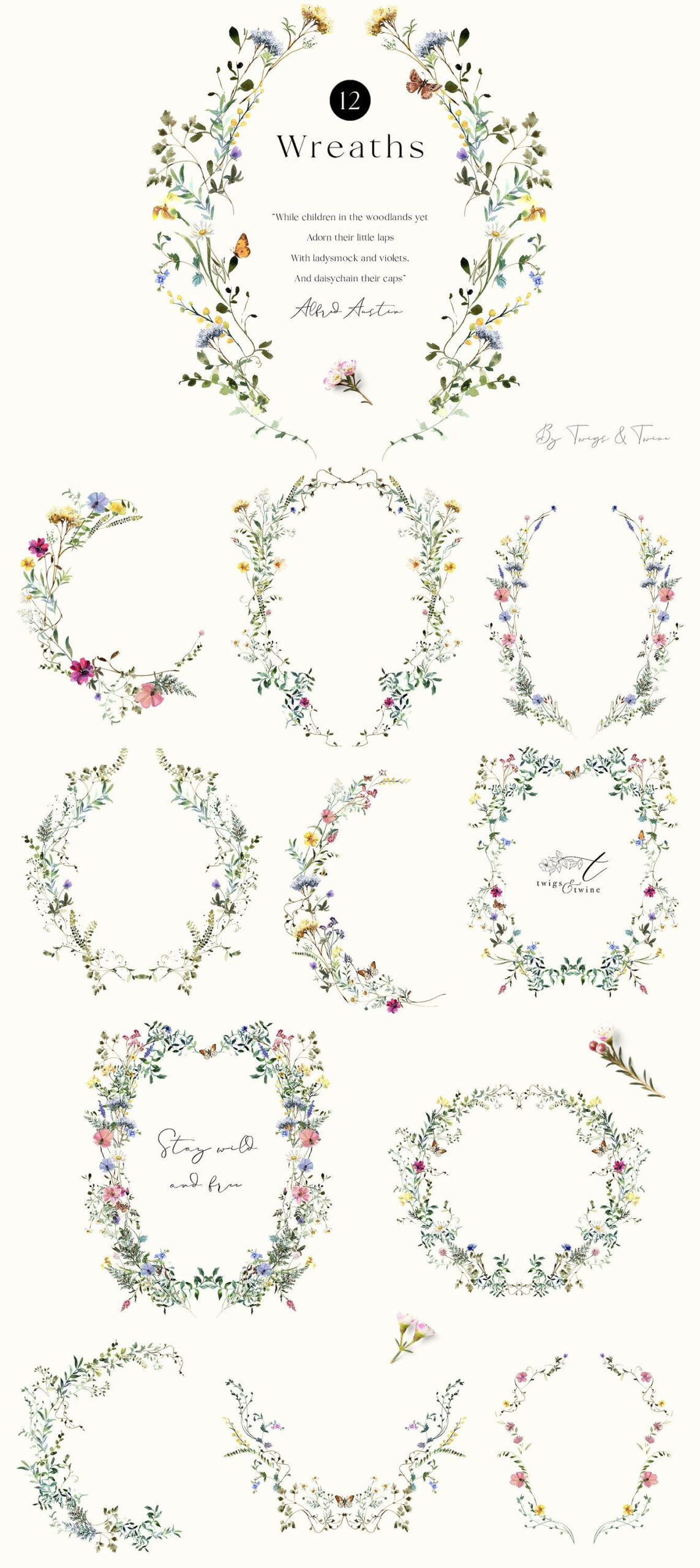 Download Instant Wildflower Watercolor Illustrations Perfect for Commercial Use