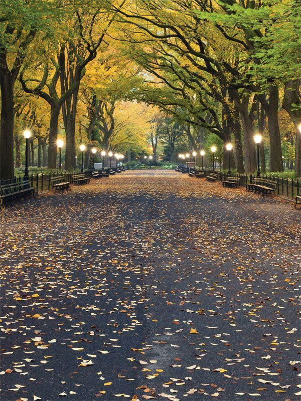 Cozy Autumn Park Photo Backdrop Printing