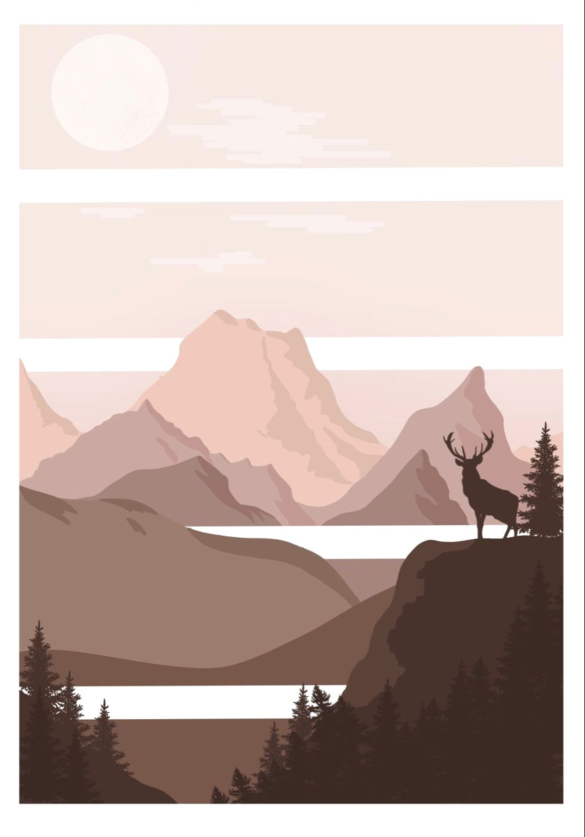 Sweeping Desert Landscapes