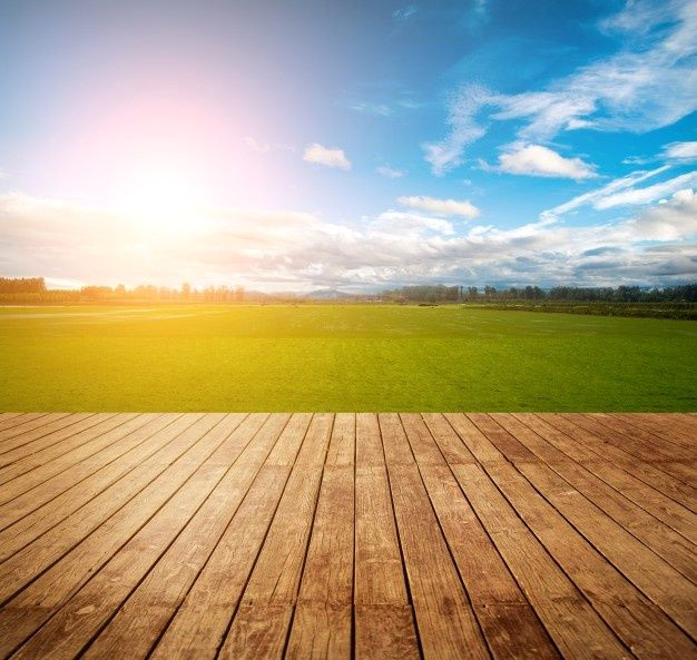 Unlock the Champion Within