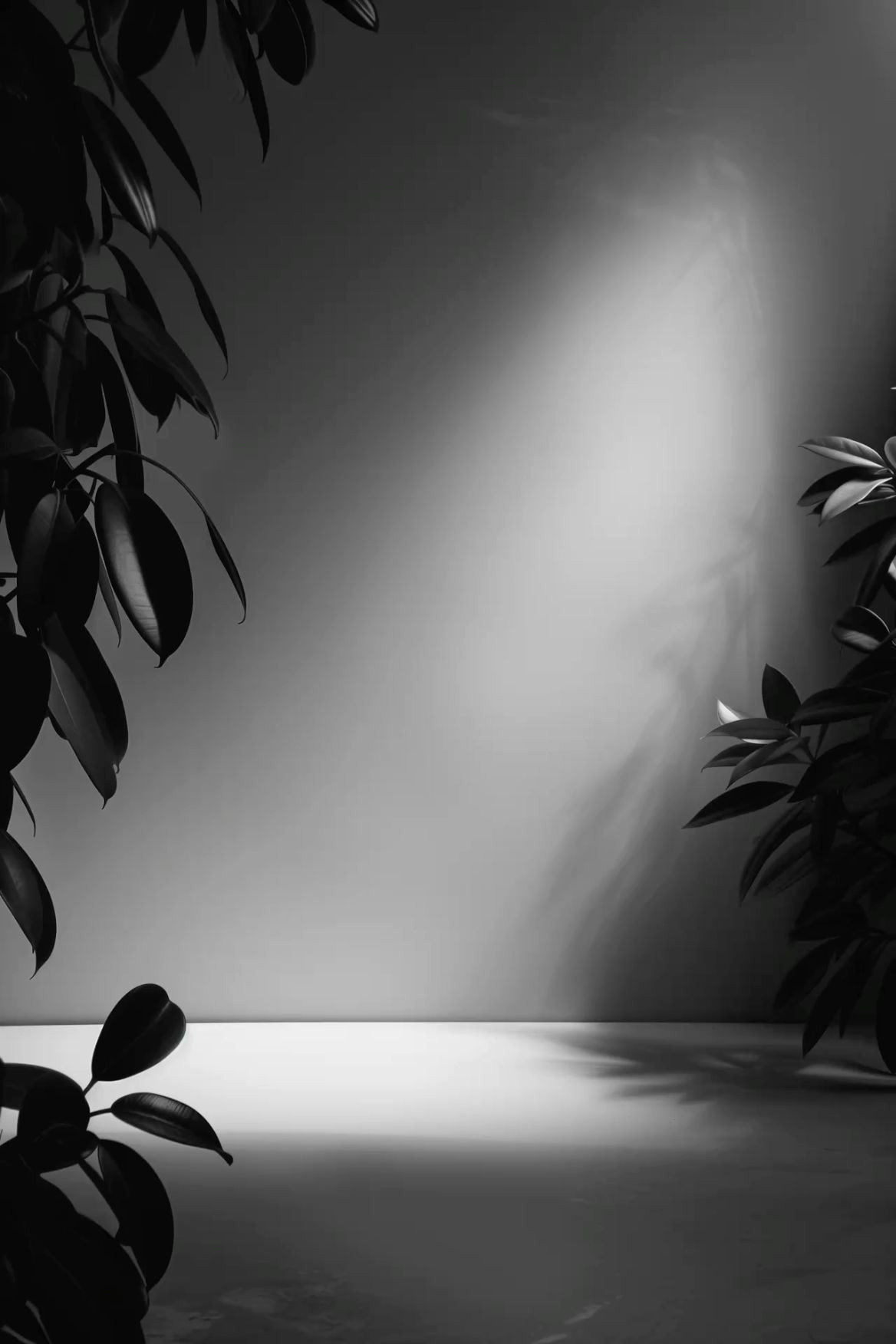 Capture It All: Stylish Backgrounds for Perfect Product Photos