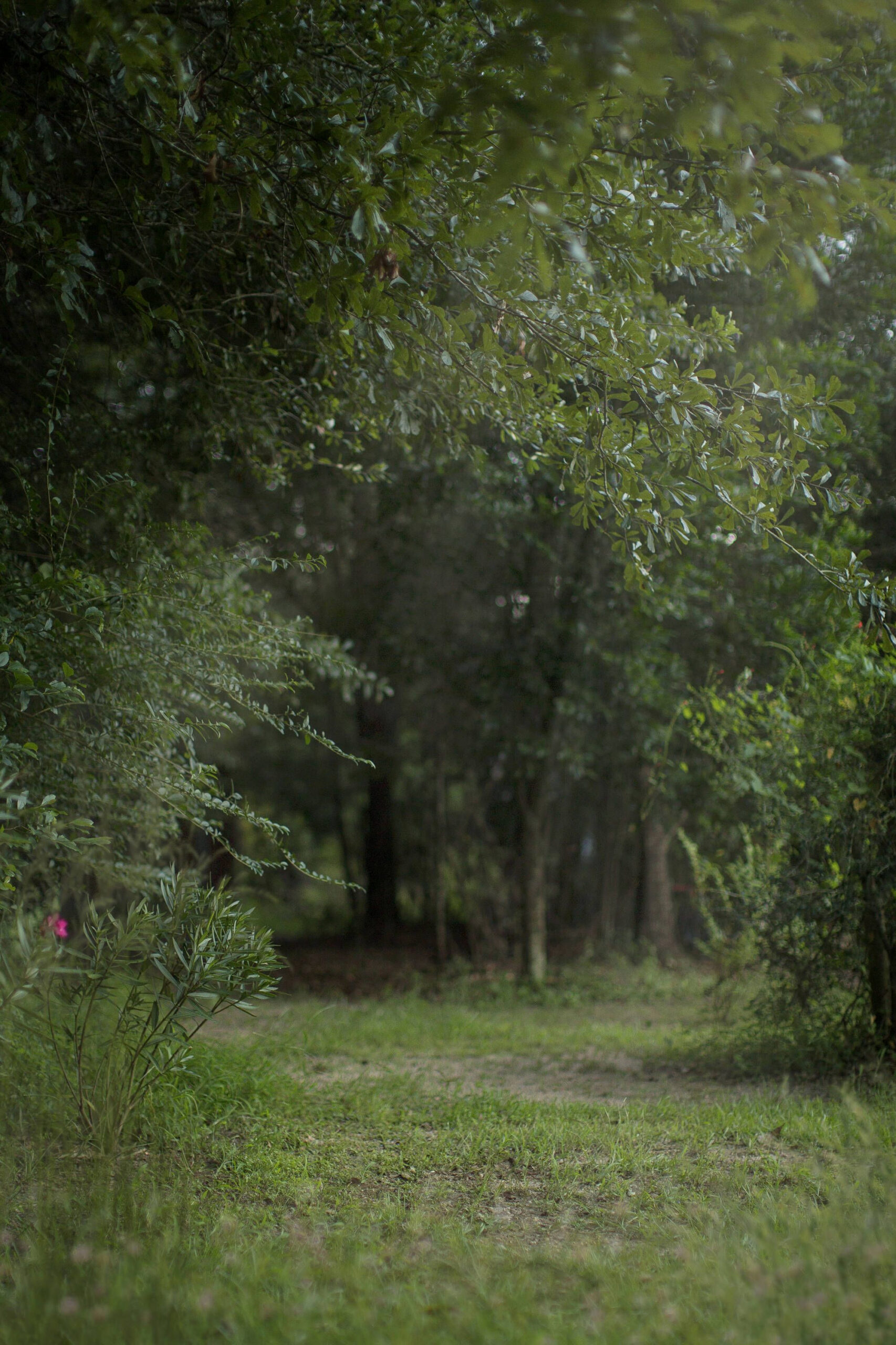 Transform Any Photo with a Seamless PNG Overlay