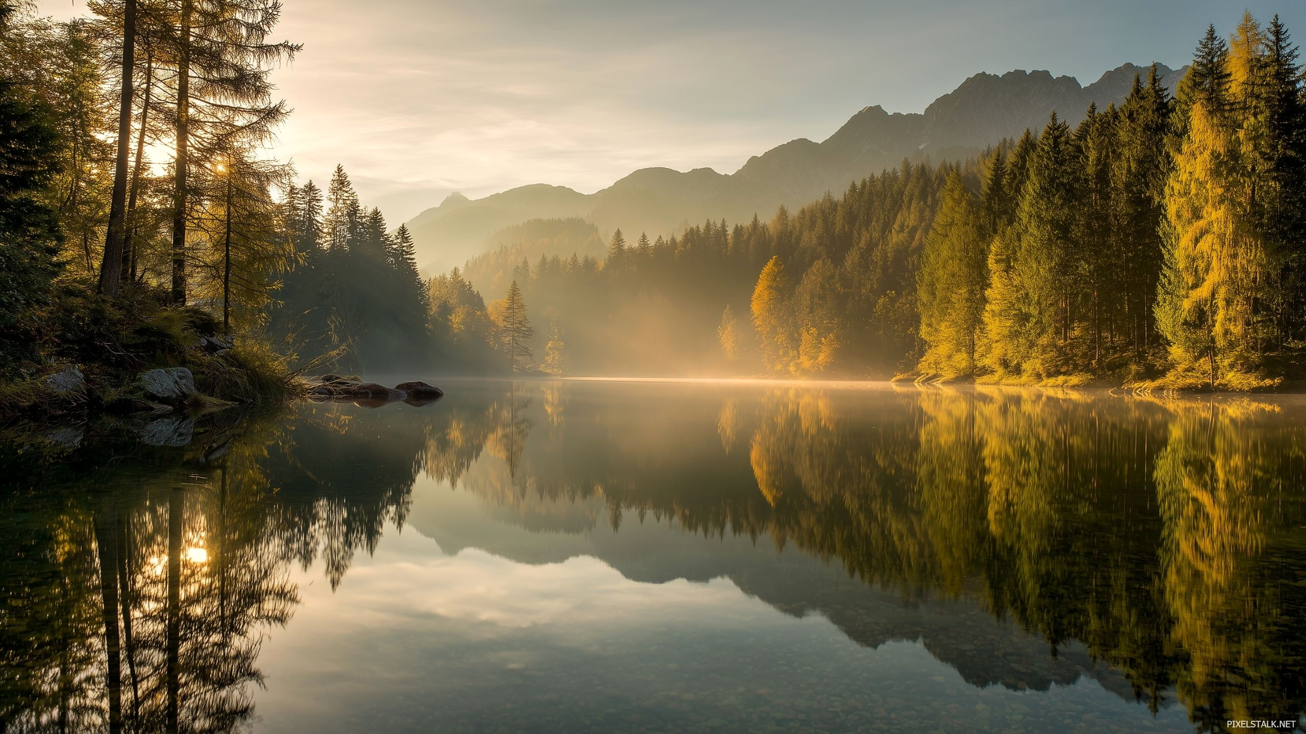 Transform Any Space with Jaw-Dropping Backgrounds