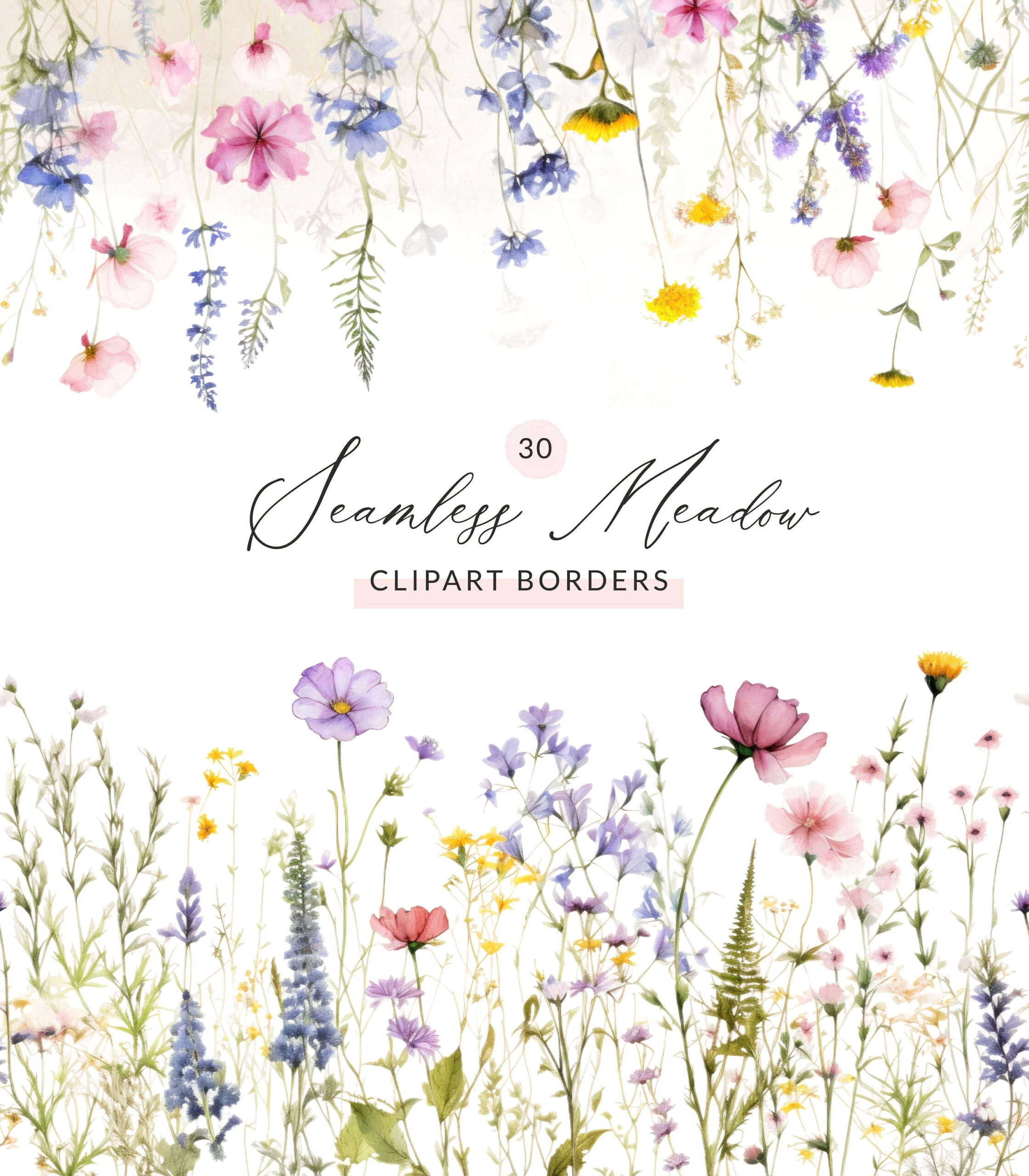 30 Stunning Wildflower Border Ideas for Your Dream Garden