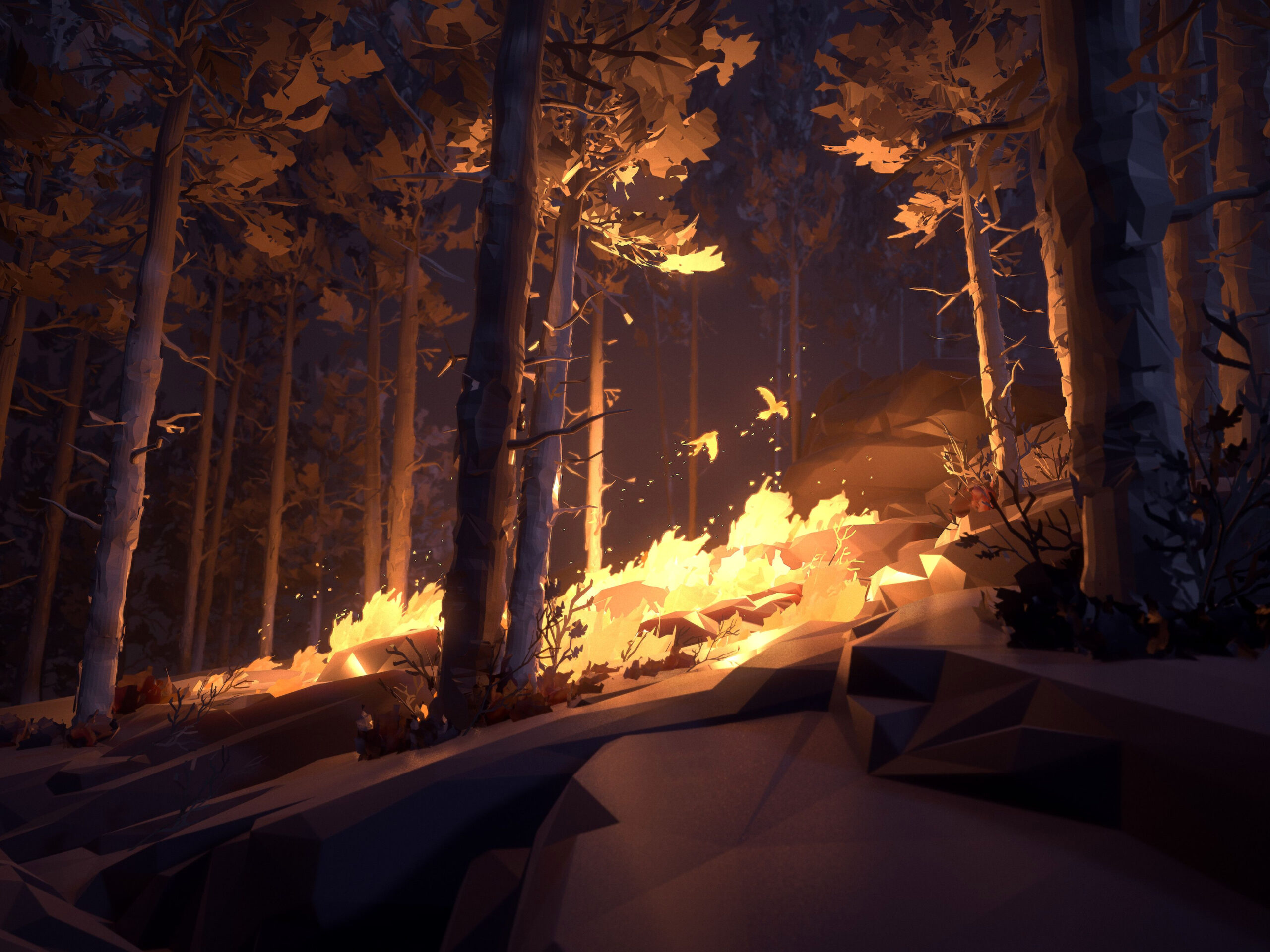 Uncover the Secret Lost Forest