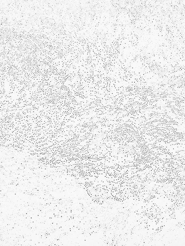 Beautiful Photo by Elīna Arāja