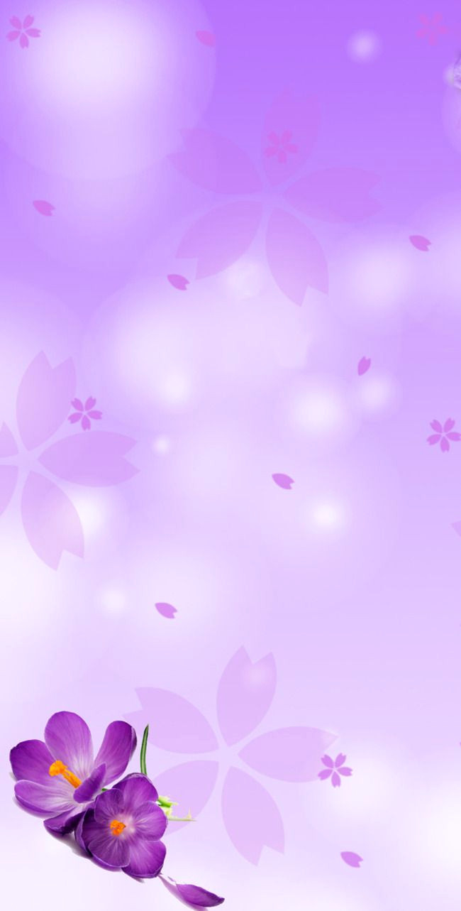 10 Stunning Pink Lilac Backgrounds for Free