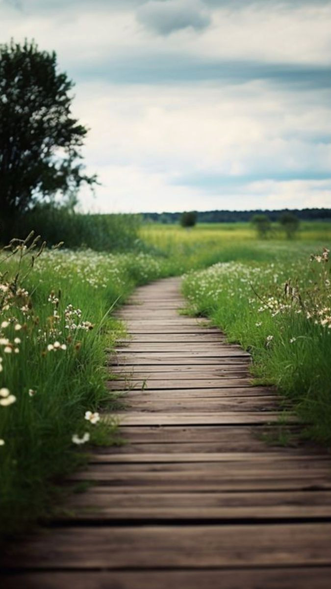 Elevate Your Space with a Simple Base Design