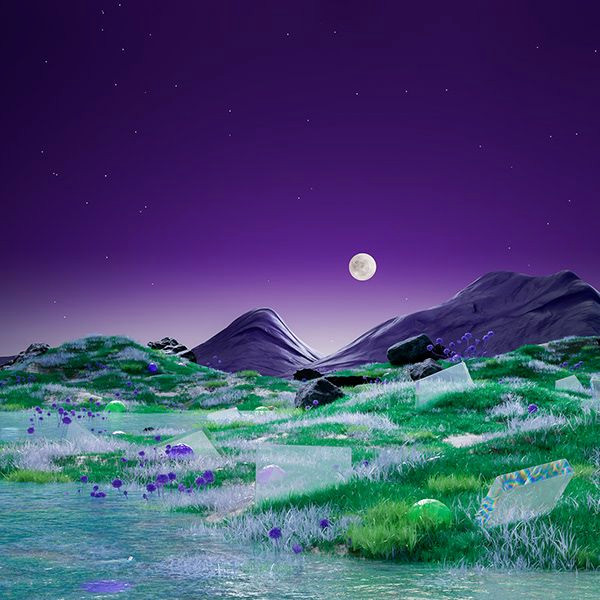 Discover the Hidden Wonders of Your Backyard