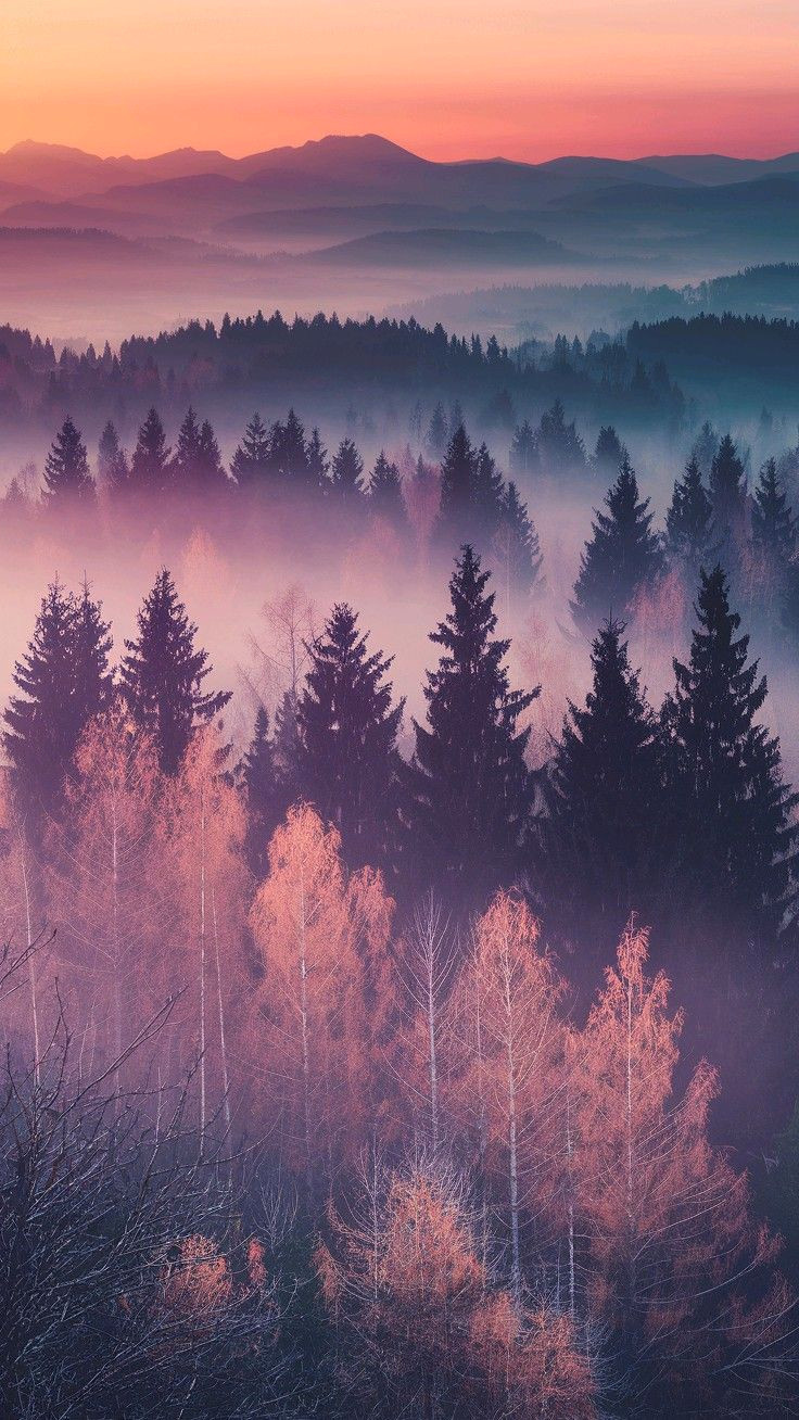 Sun-Kissed Dreamscape: Neon Yellow Landscape Photography