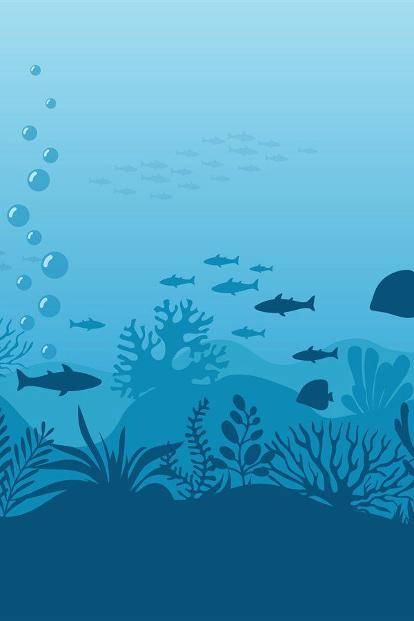 Dive into a Dreamy Seaweed Oasis